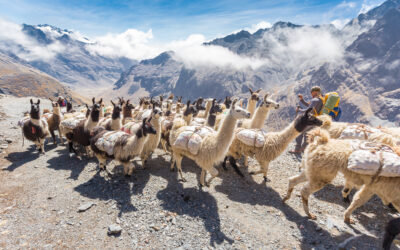 Investing in Bolivia: The most important sectors