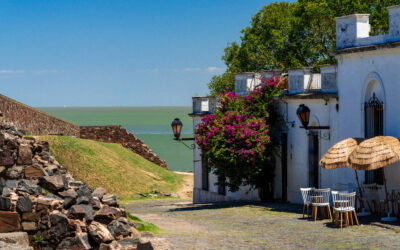 A new free zone in Uruguay will be established for an investment of US $20 million