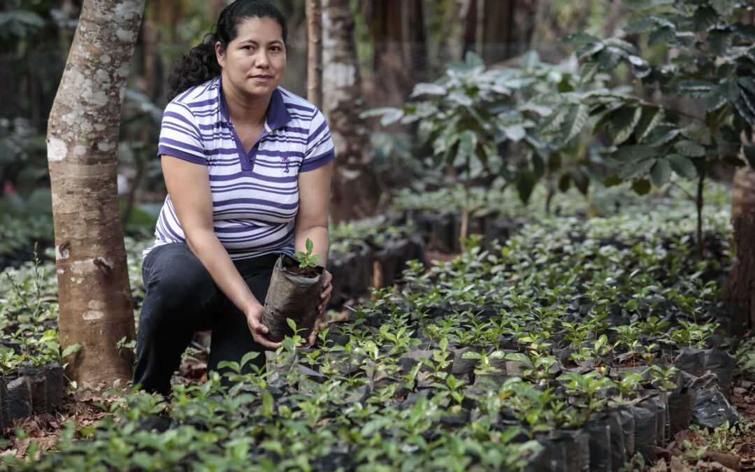 Agribusiness Investment in El Salvador