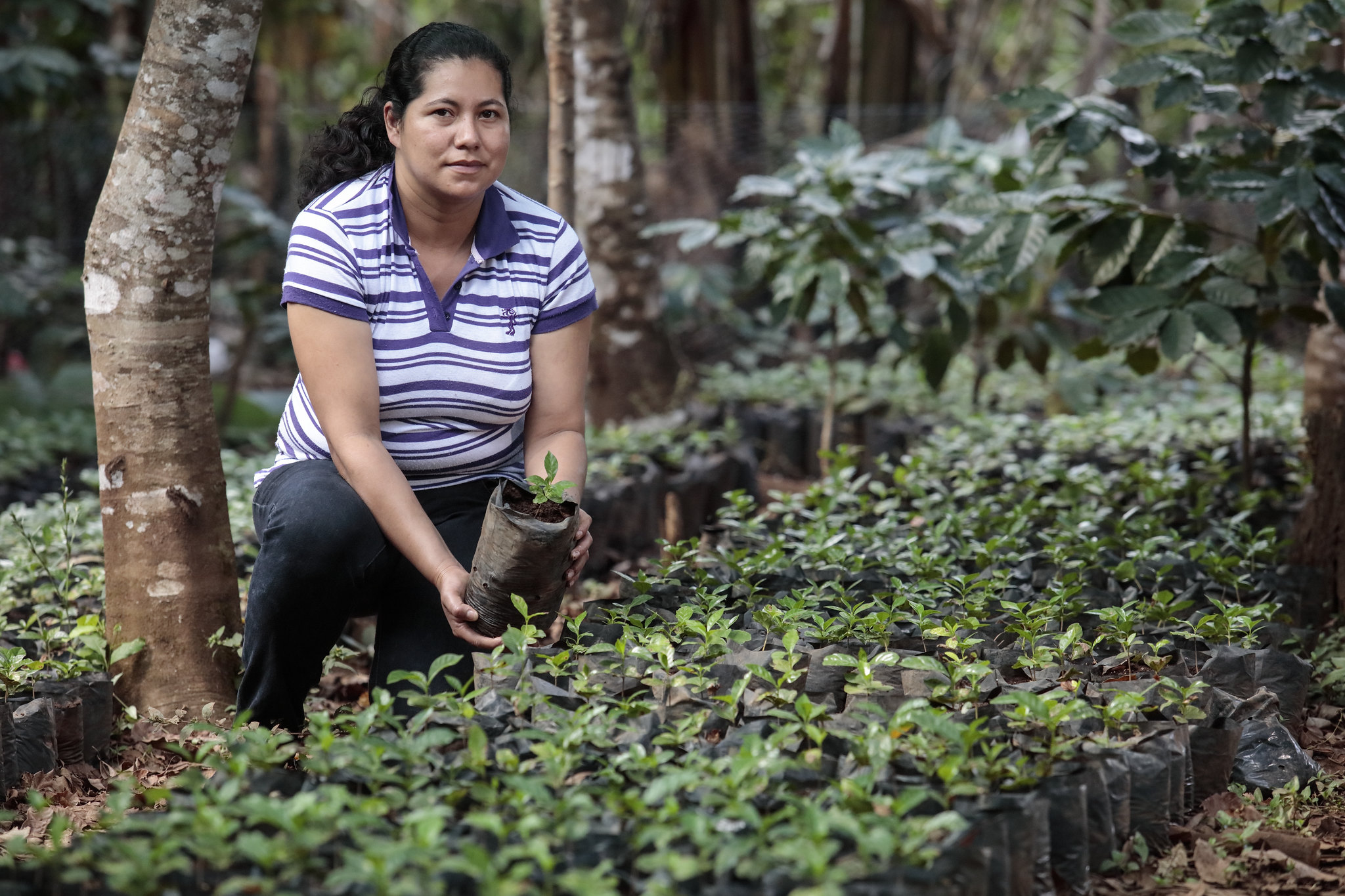 agribusiness investment in El Salvador