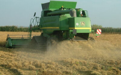 Unearthing Opportunities: A Deep Dive into the Brazilian Agribusiness Sector and Foreign Direct Investment