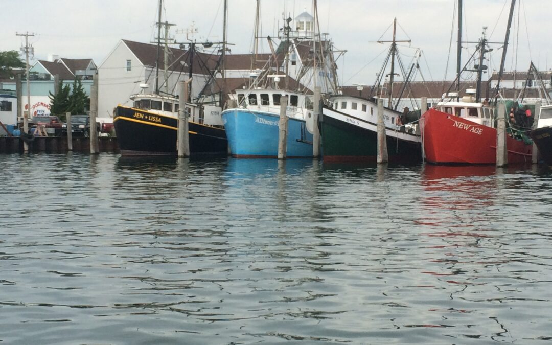 A Deep Dive into the Thriving Commercial Fishing Industry in Chile