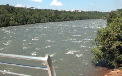 Five companies will inject US$60 million of investments in Alto Paraná, Paraguay