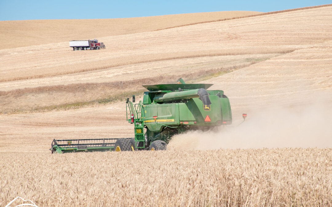The Influence of Foreign Investment in the Agroindustrial Sector of Argentina