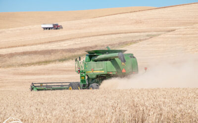 The Influence of Foreign Investment in the Agroindustrial Sector of Argentina