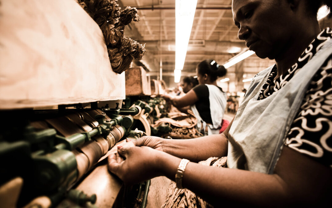 Critical Considerations for Companies Doing Business in the Dominican Republic