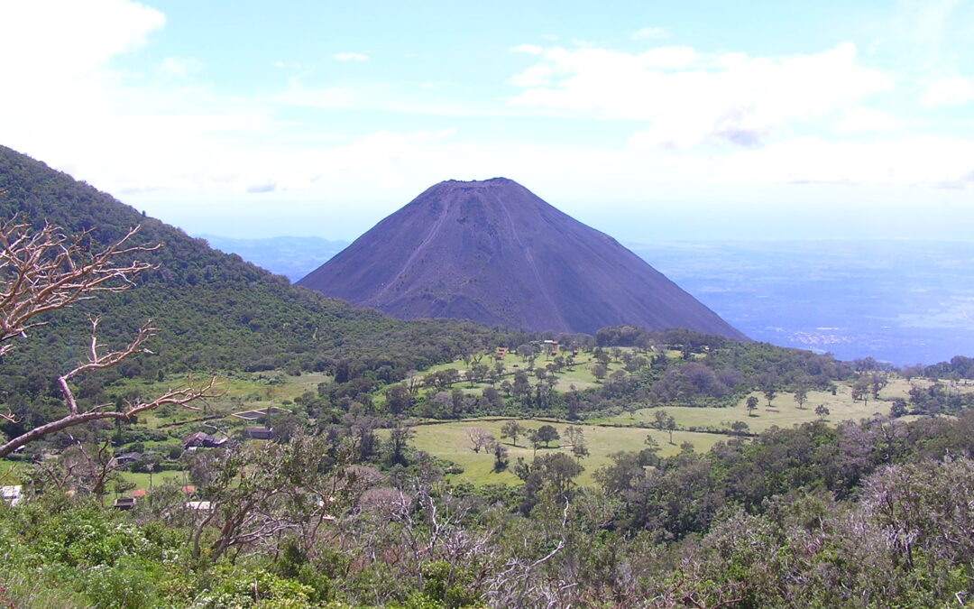 Doing Business in El Salvador: What Companies Should Consider