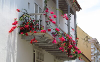 Tourism in Colombia Seeks Foreign Direct Investment