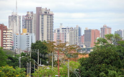 What Companies Should Research When Considering Doing Business in Paraguay