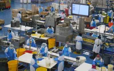 Examining Opportunities for Manufacturing in Central America