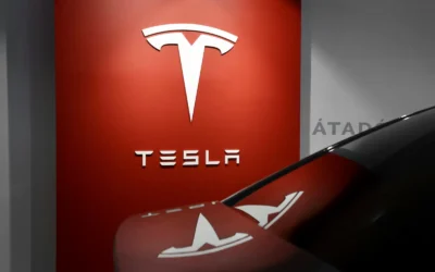 Tesla in Argentina: Which City Could Become the EV Maker’s South American Hub?