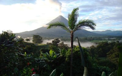 Costa Rican Economic Outlook for 2025: Controlled Inflation, Lower Interest Rates, and Exchange Rate Stability