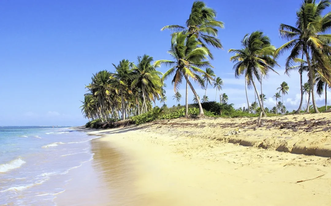 The United States, Spain, and Mexico: Top Investors in the Dominican Republic Through September 2024