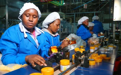 Dominican Republic Free Zones Growth: Cumulative Investment Exceeds US$7.496 Billion and Projects More Jobs