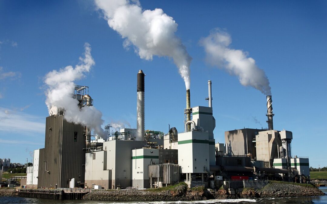 Manufacturing in Uruguay: A Strategic Hub for Industrial Growth