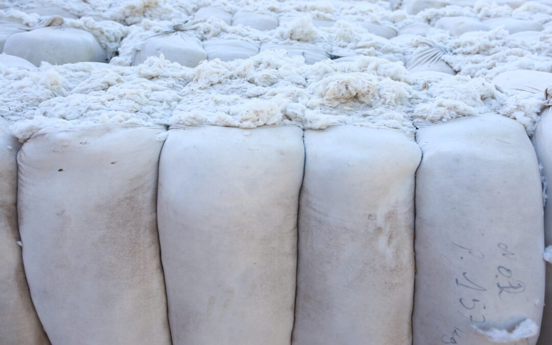 Recover and Intradeco collaborate to build a new cotton fiber recycling plant in El Salvador