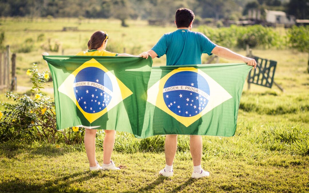 Find Out Which Countries Are Driving Direct Investment in Brazil, the U.S. Leads