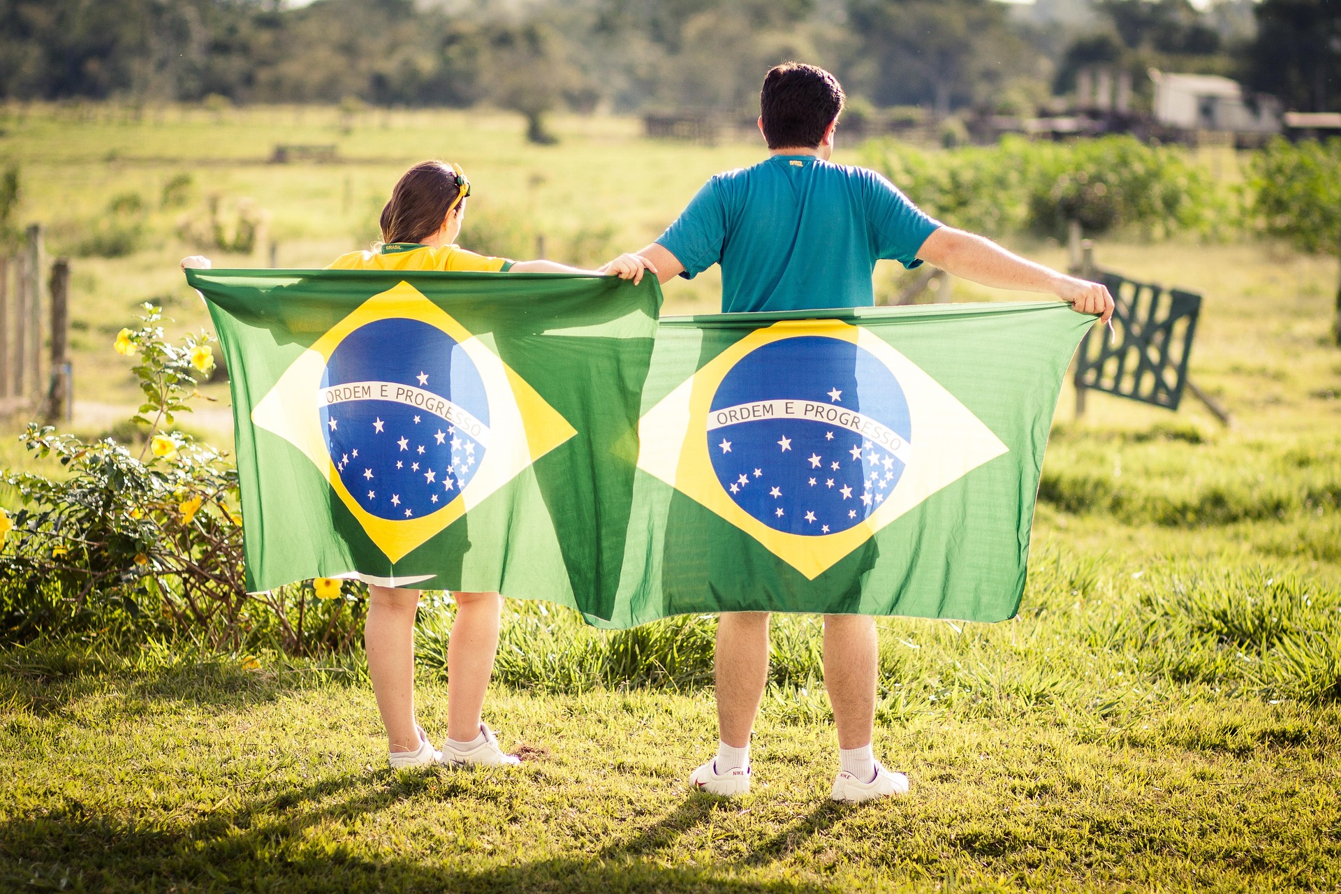 direct investment in Brazil