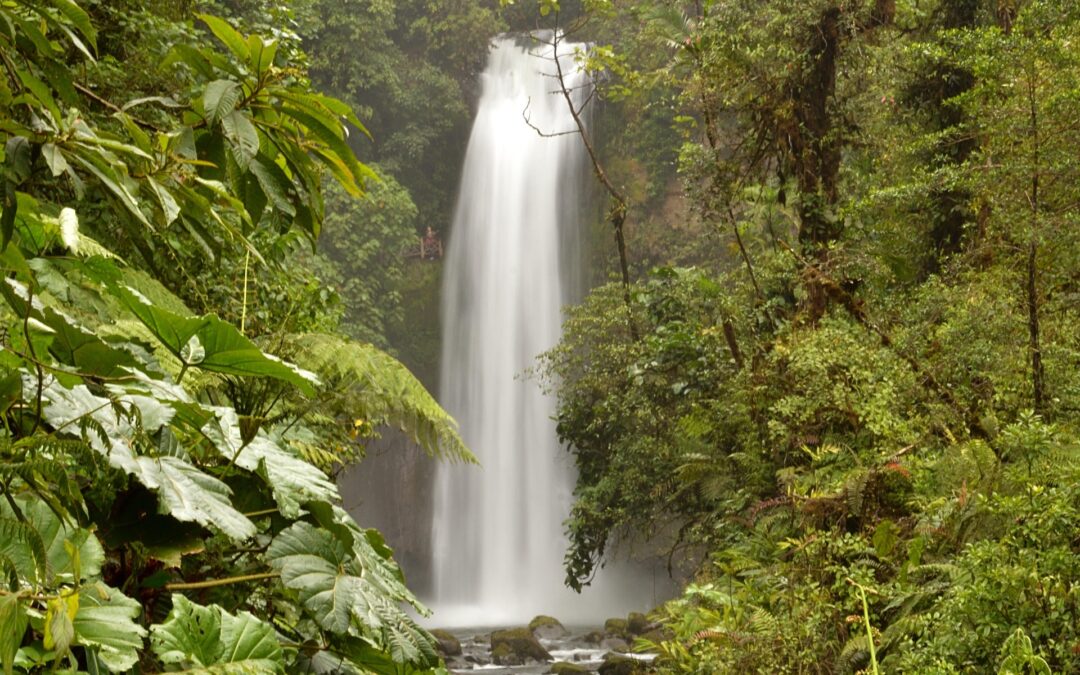 Costa Rican tourism guide: Costa Rica presents its first Tourism Investment Guide