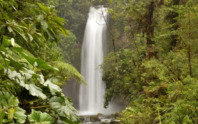 Costa Rican tourism guide: Costa Rica presents its first Tourism Investment Guide