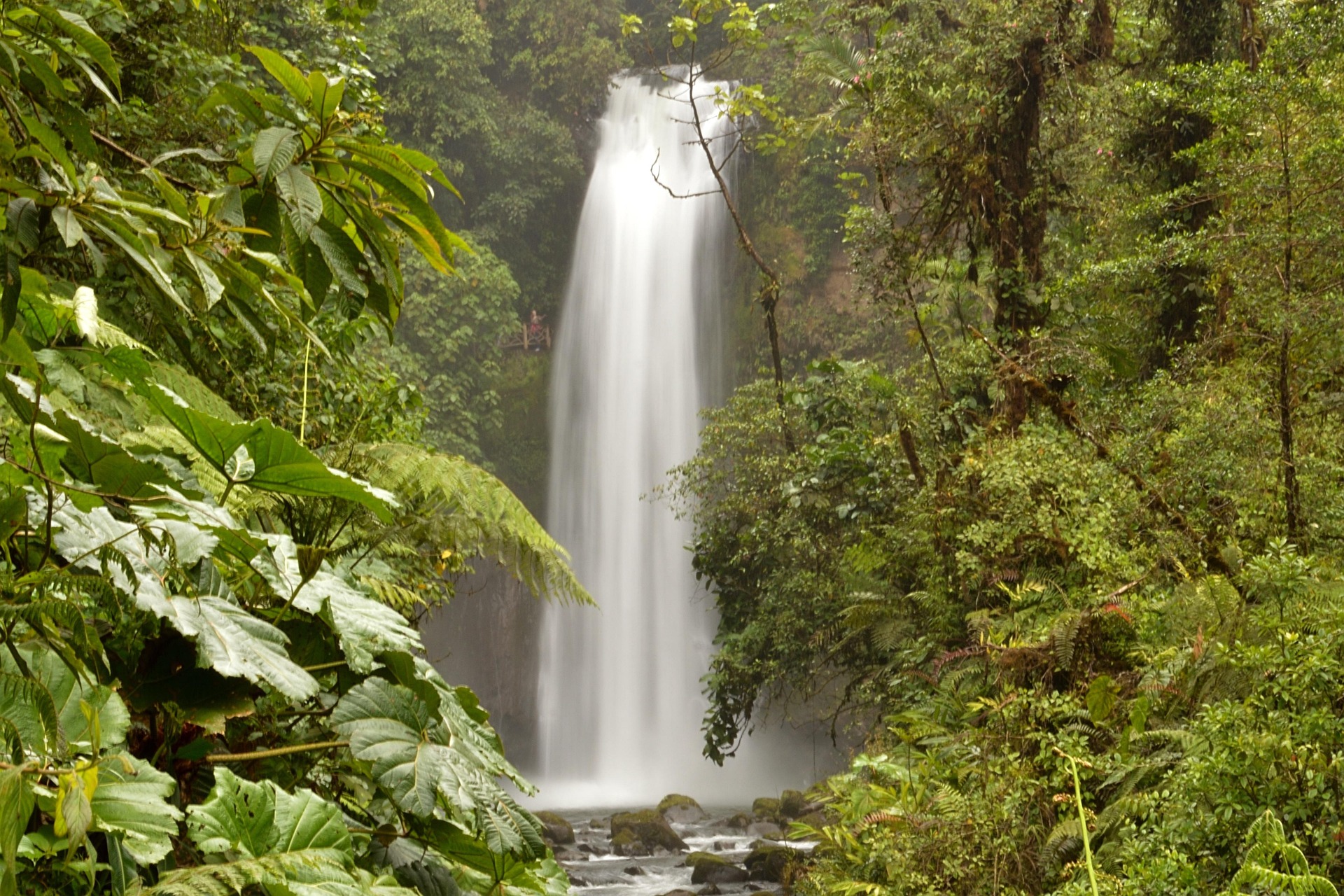 Costa Rican tourism Guide