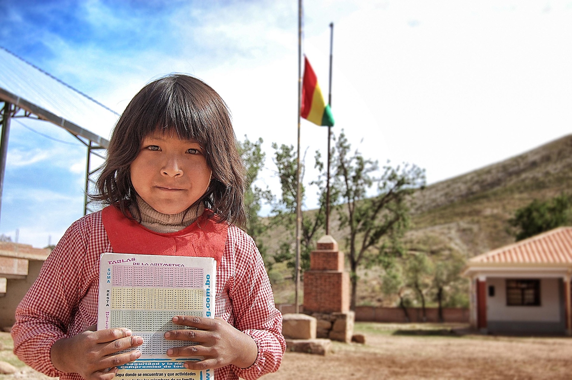 education-3648386_1920 Bolivian reintegration into the global economy