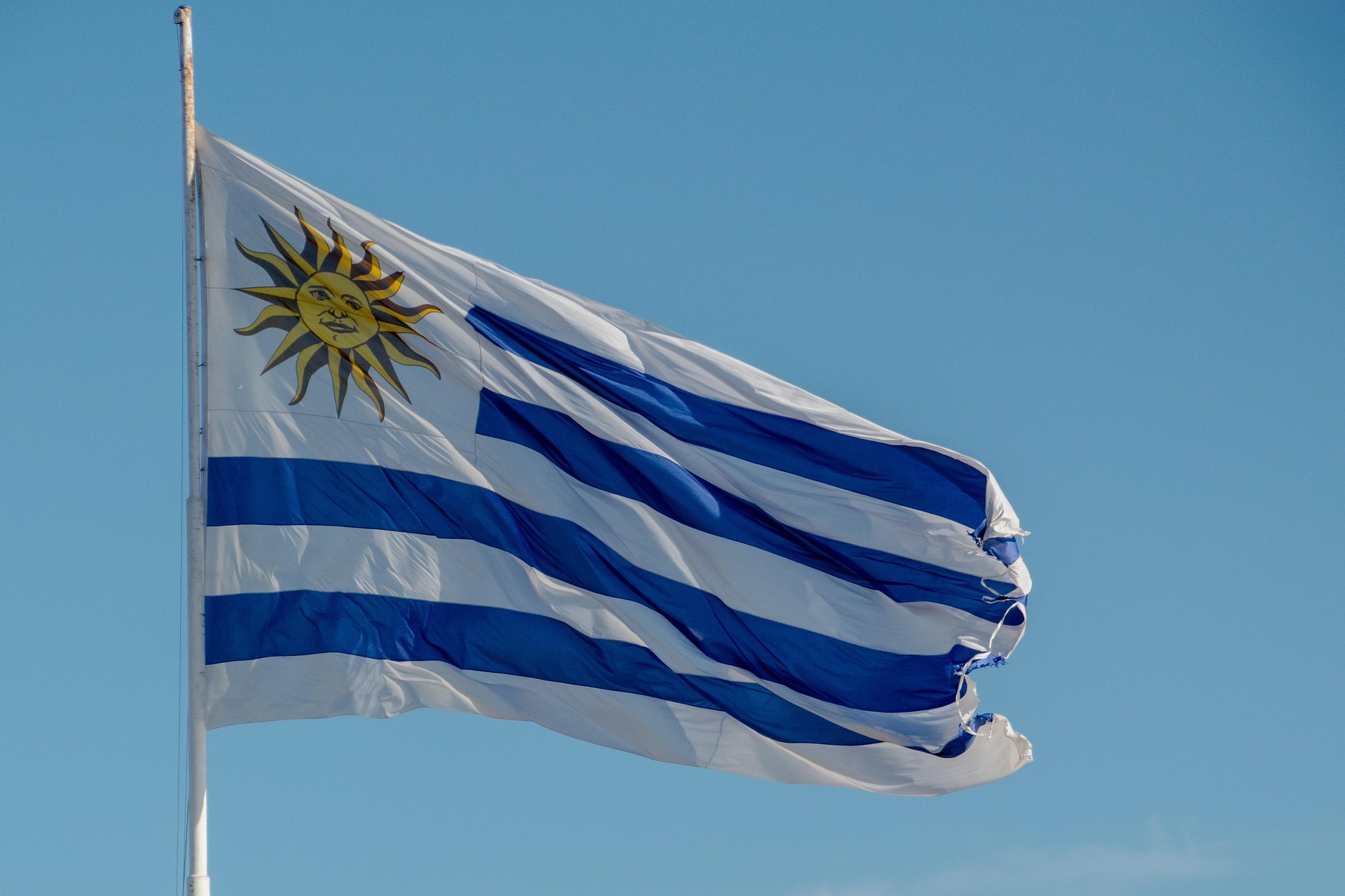 flag-6888497_1920 uruguayan cptpp accession