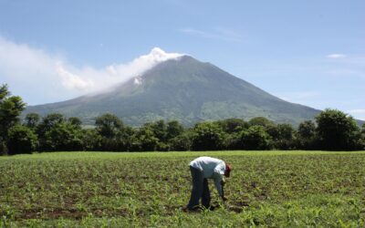OECD Underscores Efforts to Finance Productive Transformation in El Salvador