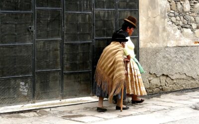 President Paz Says that the Bolivian Wealth Tax Contributed to the Country’s Economic Isolation