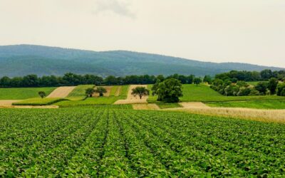 Foreign investment continues to back Colombian agriculture heading into 2026