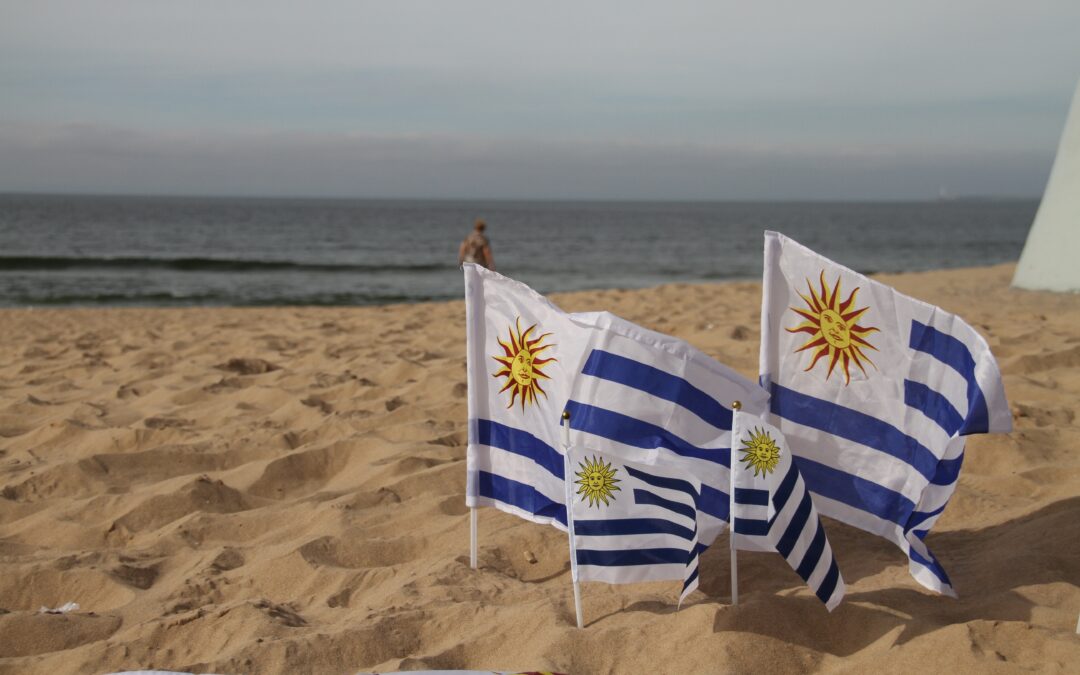 Uruguay Foreign Direct Investment: Strengthening Competitiveness to Attract the Next Wave of Global Investors
